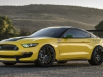 2017 Ford Mustang Shelby GT350 Ole Yeller