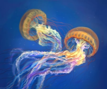 Jellyfish