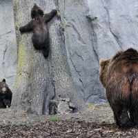 Teaching To Climb