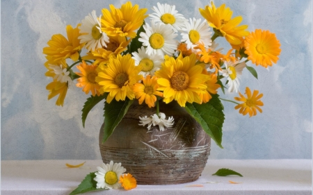 Flowers - flowers, still life, daisies, vase