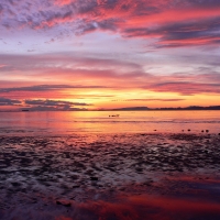 Comox Sunrise, British Columbia, Canada