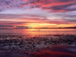 Comox Sunrise, British Columbia, Canada