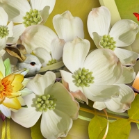 Spring Blossoms and Bunny