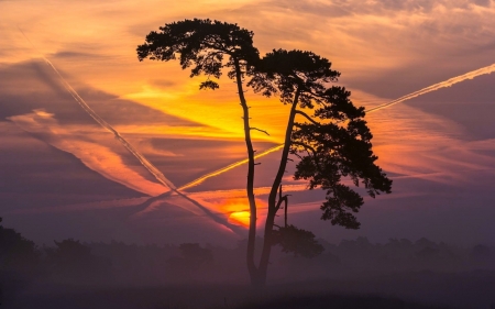 Sunset Crossings - sky, landscape, clouds, tree, colors