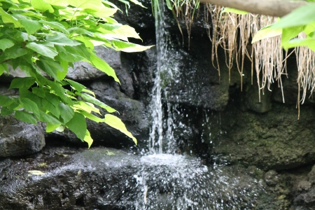 Waterfall - water, photo, nature, waterfall