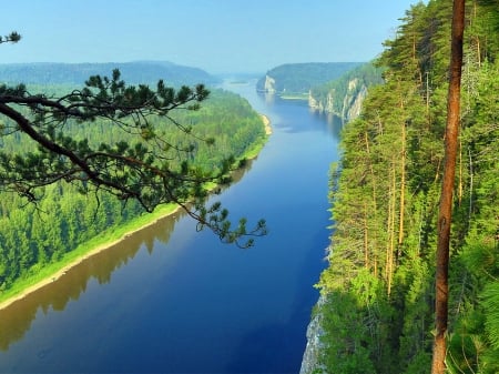 River Both side Forest - river, trees, nature, spruce, forest, sky