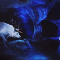 Fantasy wolf