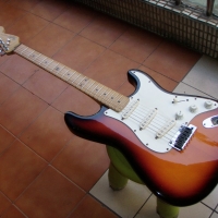 Fender Stratocaster Electric Guitar