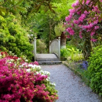 York Gate gardens - United Kingdom