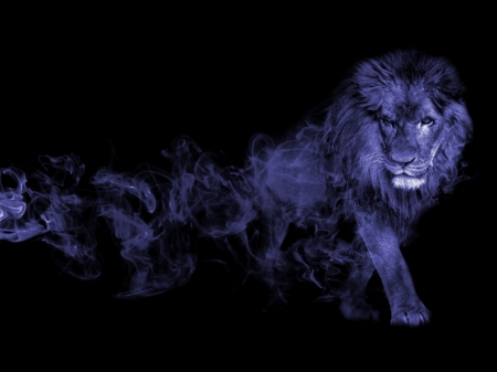 Lion - lion, smoke, animal, blue