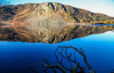 Mountain Reflection - water, reflection, mountain, tree