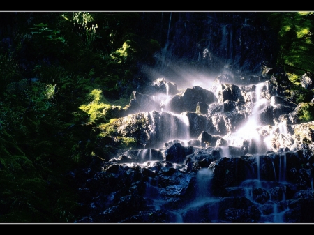 Foamy Waterfalls - trees, water, nature, waterfall