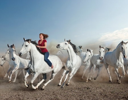 Free and unfettered - white, horses, fast, young, girl, riding, free and unfettered