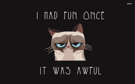 grumpy cat - awful, grumpy, fun, cat