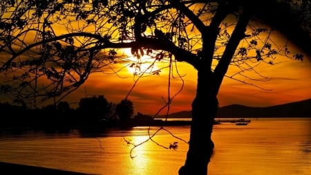 Lonely Tree Beside The Lake in Twilight - nature, lake, trees, reflection, twilight, sunset