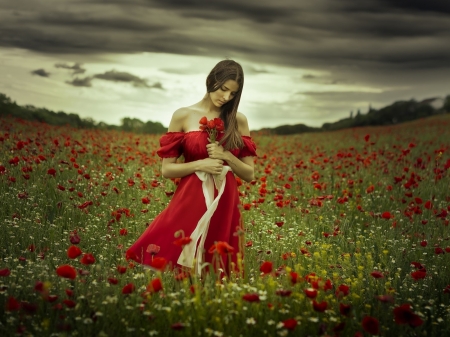 Beauty - red dress, girl, flowers, brunette, field, model