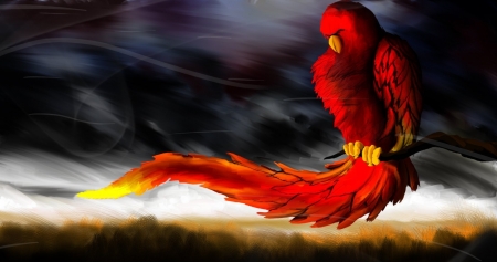 •ღ✿ღ• - bird, animal, parrot, red