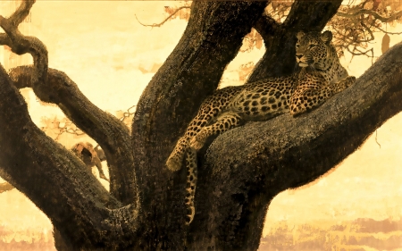 Resting Leopard - tree, predator, wildlife, cat