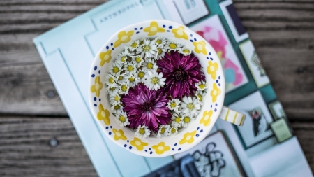 Enjoy Summer! - summer, flower, pink, cup, daisy