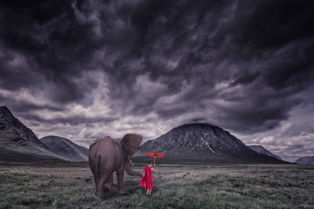 â€¢áƒ¦âœ¿áƒ¦â€¢ - animal, nature, elephant boy, elephant