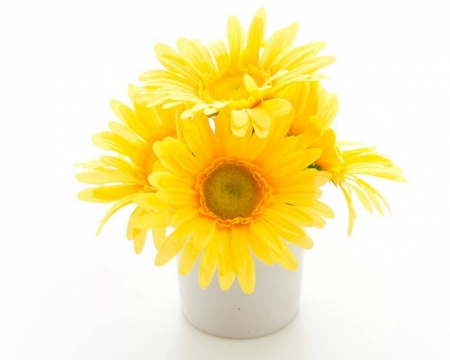 Beautiful Flowers - bloom, flowers, yellow, gerbera