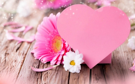 Beauty in Pink - flowers, heart, pink, wood