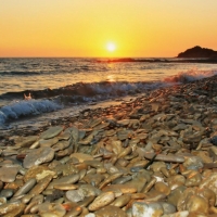 Beach Sunset