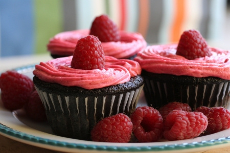 chocolate raspberry cupcake - chocolate, cream, cupcake, raspberry