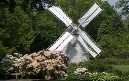 Windmill in Garden - blooms, garden, trees, windmill