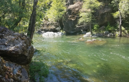 Deer Creek - fun, river, nature, Deer Creek, forest, cool