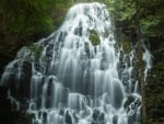 Oregon falls