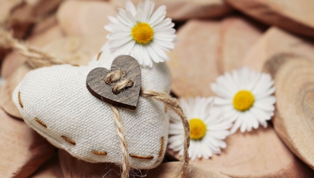 •ღ✿ღ• - daisy, flower, love, nature