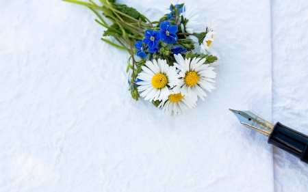 â€¢áƒ¦âœ¿áƒ¦â€¢ - nature, design, daisy, flower