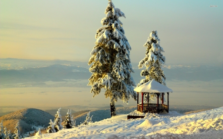 snowy trees - winter, tree, valley, snow