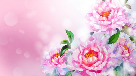 Peonies - bokeh, pink, card, peony, green, texture, flower, spring