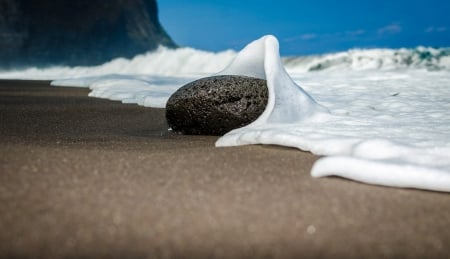 Beach - trees, water, rock, sea, ocean, sand, waves, wave, Beach, rocks