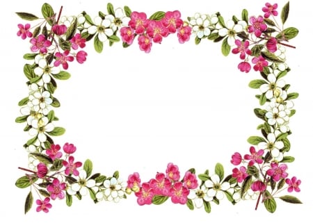 Floral frame - white, frame, blossom, green, spring, floral, card, pink