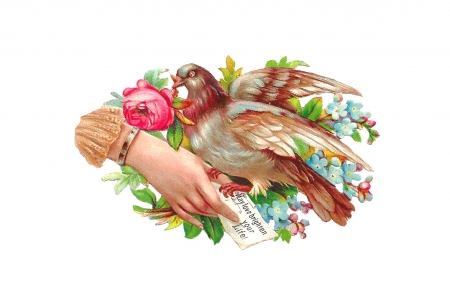 May love brighten your life - bird, dove, pink, white, hand, vintage, valentine, rose, card