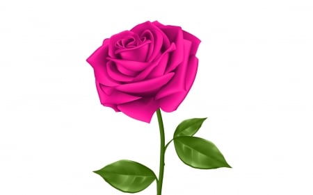 Rose - trandafir, white, pink, green, card, rose, flower