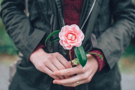 For you! - flower, hand, pink, azaleea