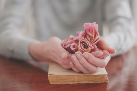 Soft pink - hand, woman, soft, book, old, rose, flower, pink