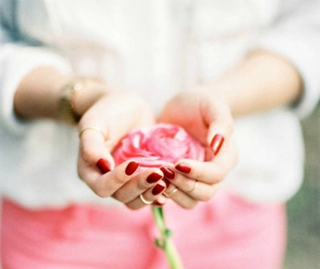 For you! - white, flower, rose, pink, hand, woman