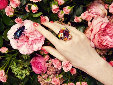 The ring - hand, woman, rose, flower, bug, pink, jewel