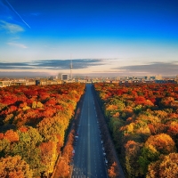 Road Among Autumn Trees, Berlin