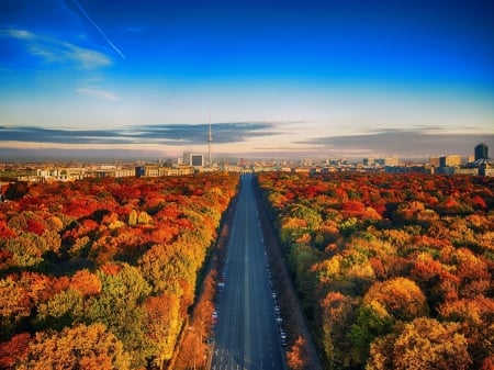 Road Among Autumn Trees, Berlin - trees, nature, autumn, road, sky