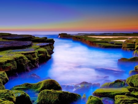 Rocky Shore - shore, nature, beach, seaweed, moss, sea