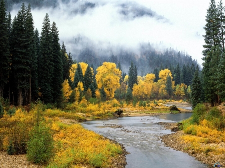 Okanogan National Forest, Washington - nature, autumn, forest, river, fog, mountains