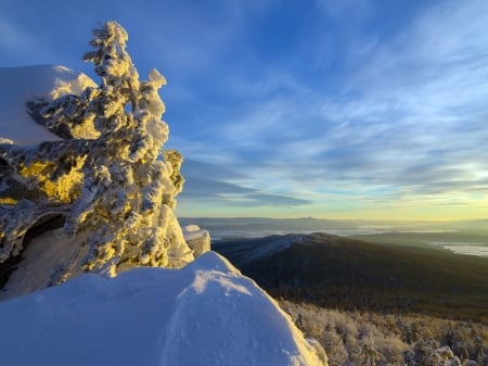 Sunset Now Winter Spruce - nature, sky, mountain, winter, spruce, sunset