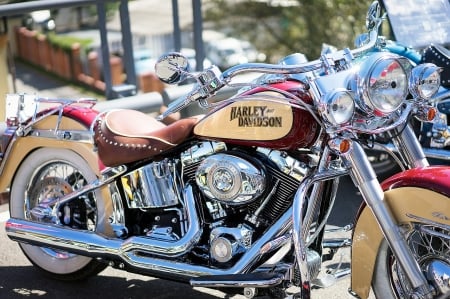 Harley Davidson