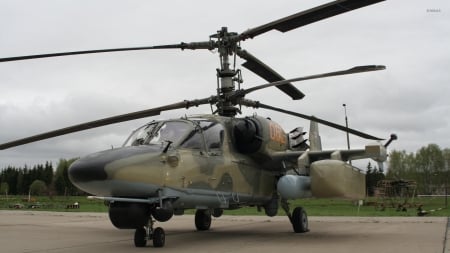 Kamov KA-50 - ka-50, helicopter, kamov, military